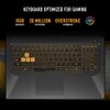 Asus FX506HF-HN075W TUF F15 Gaming Laptop (Intel Core i5-11260H/8 GB/512 GB/NVIDIA GeForce RTX 2050/Windows 11 Home/FHD), 39.62 cm (15.6 inch)