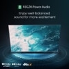 Toshiba 165.1 cm (65 inch) QLED 4K TV, 65M450RP
