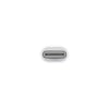 Apple USB-C To Lightning Adapter