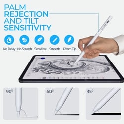 Cytron iPad Pencil Stylus 6