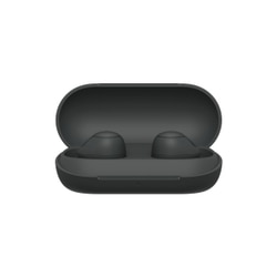 SONY WF-C700N Lightest TWS ANC 20 Hr battery, In-Ear, 10 Min Quick Charge, Multi-Point Bluetooth Headset (Black, True Wireless) 3