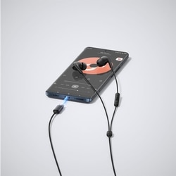Xiaomi Type-C Earphones, Black 6