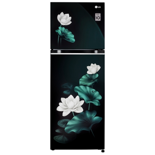 LG 246 L 3 Star Frost Free Double Door Refrigerator, GL-S262SELX, Emerald Lotus