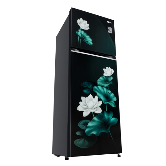 LG 246 L 3 Star Frost Free Double Door Refrigerator, GL-S262SELX, Emerald Lotus