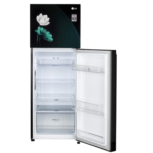 LG 246 L 3 Star Frost Free Double Door Refrigerator, GL-S262SELX, Emerald Lotus