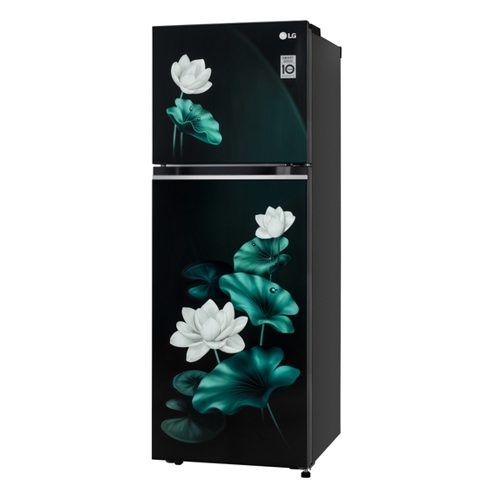 LG 246 L 3 Star Frost Free Double Door Refrigerator, GL-S262SELX, Emerald Lotus