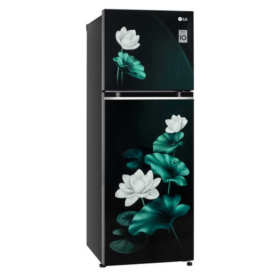 LG 246 L 3 Star Frost Free Double Door Refrigerator, GL-S262SELX, Emerald Lotus
