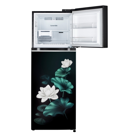 LG 246 L 3 Star Frost Free Double Door Refrigerator, GL-S262SELX, Emerald Lotus