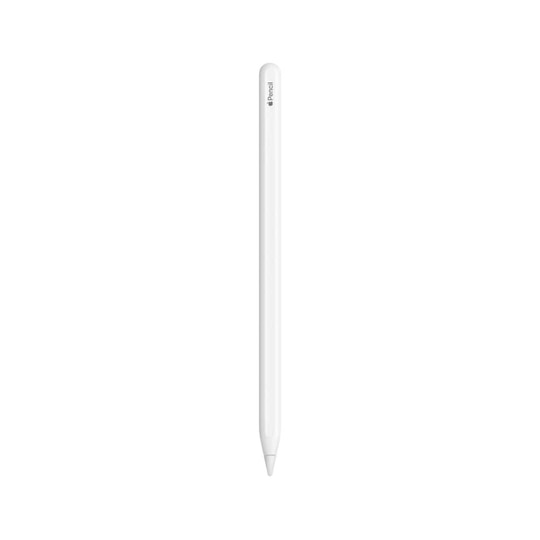 Apple Pencil Pro for 11 inch (27.94 cm) & 13 inch (33.02 cm) iPad Pro/Air