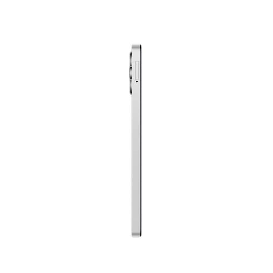 Redmi 12 5G 256 GB, 8 GB RAM, Silver, Mobile Phone