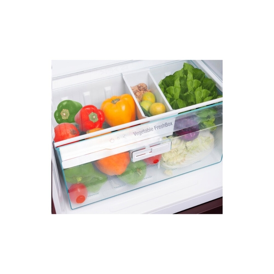 Liebherr 245 L 2 Star Frost Free Double Door Refrigerator, Grey Steel, TCPgsB2411