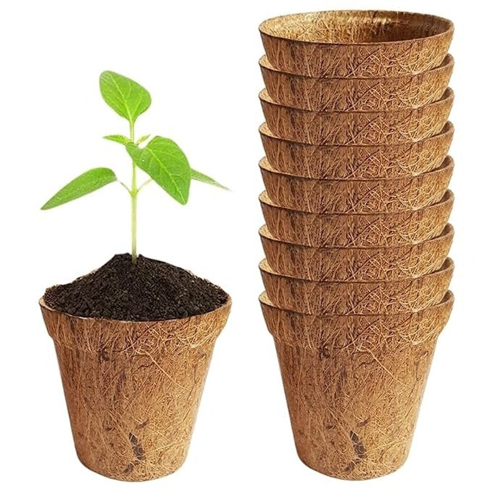 Price Container Historical Natural coconut oil latest price in india with comparison ...