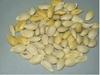 MGBN THE PATH FOR THE HEALTHIER LIFE WITH BEAUTY Lemon, Nimbu, Citrus Lemon Seeds - 1 g (30 Seeds)