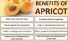 FreshoCartz Jumbo Dried Apricots Organic (Khumani, Khurmani, Khurbani, Jardalu, Prunu) High Quality (Grade - Big Size) 1 kg