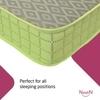NestiN Mattress Premium Natural DUO Latex Mattress (84*66*5Inch, Queen Size)