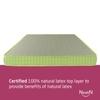 NestiN Mattress Premium Natural DUO Latex Mattress (84*66*5Inch, Queen Size)
