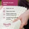 NESTIN Mattress Premium Natural Pure Latex Mattress 6 inch Queen Latex Foam Mattress (L x W: 84 inch x 66 inch)