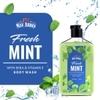 Man Arden Fresh Mint Luxury Body Wash Infused With Shea Butter & Vitamin E, 250ml