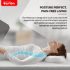 Kurl-On Orthopedic Mattress | High Density (HR) Foam | Memory Foam | Medium Firm | Back & Spine Support | King Size Mattress | 78x72x8 | 10 Yrs Warranty