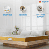 Sleepwell Dual Mattress | Reversible | High Density (HD) Foam | 8-inch Single Bed Size, Medium Soft & Hard (Orange,78x42X8)