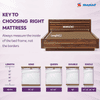 Sleepwell Ortho Mattress | High Density Resitec (HR) Foam | Medium Firm | Memory Foam | Breathable Fabric | Single Size Mattress | 78X42X5 | 10 Yrs Warranty