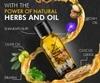 Urban Gabru Beard Booster Growth Oil for Men | Enriched with Natural Herbs & Jadibuti (60 ml) | Thicker & Longer Beard - 60 ml
