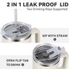 SSS Enterprise Tumbler with Handle and Straw Lid, Reusable Cup Leakproof Iced Coffee Sipper Mug for Keeping Beverages Water Hot or Cold,Perfect for Travel, Gym