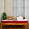COIRFIT BONE ZONE with REBOTECH Tech. 6 Inch Queen Mattress | 3 Years Warranty | Firm Mattress | Bonded Foam Mattress (78X66X6 Inches, Queen Size Mattress, Maroon)