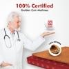 Usha Shriram Resteria Golden Fibre Tech. 4 inch Single Mattress | 5 Years Warranty | Firm Mattress | Coir Foam

 Mattress (75X30X4 Inches, Single Size Mattress, Marron)