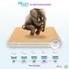 SLEEPSPA Super Contour ISP Tech. High Tensile 8 inch King Mattress | 7 Years Warranty |Medium Soft
 Mattress | Bonnell Spring Mattress (78X70X8 Inches, King Size Mattress, Beige)
