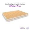 SLEEPSPA Super Contour ISP Tech. High Tensile 8 inch King Mattress | 7 Years Warranty |Medium Soft
 Mattress | Bonnell Spring Mattress (78X70X8 Inches, King Size Mattress, Beige)