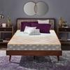 COIRFIT Health Spa Active Orthopedic with SrtX TECHNOLOGY 6 Inch Single Size High Resilience (HR) Foam Mattress (75X30 Inches),Backcare Mattress|100% Visco-Pro Memory Foam|Dual Side Quilted,15-Year Warranty