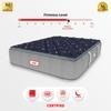 COIRFIT LUXURINO Pillow Top with ISPT Tech. 10 Inch Double Mattress | 7 Years Warranty | Firm Mattress |  Bonnell Spring Mattress (75X48X10 Inches,Double Mattress,Blue)