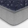 COIRFIT LUXURINO Pillow Top with ISPT Tech. 10 Inch Double Mattress | 7 Years Warranty | Firm Mattress |  Bonnell Spring Mattress (75X48X10 Inches,Double Mattress,Blue)