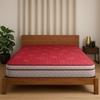 COIRFIT LUXURINO Pillow Top with ISPT Tech. 6 Inch Single Mattress | 7 Years Warranty | Firm Mattress |  Bonnell Spring Mattress (75X36X6 Inches,Single Mattress,Red)