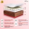 COIRFIT Magic Orthopedic Dual Comfort For Back Pain Relief 8 Inch Queen Mattress | 5 Years Warranty |Firm Mattress | Coir Foam Mattress (75X66X8 Inches, Queen Size Mattress, Maroon)