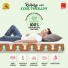 COIRFIT Magic Orthopedic Dual Comfort For Back Pain Relief 8 Inch Queen Mattress | 5 Years Warranty |Firm Mattress | Coir Foam Mattress (75X66X8 Inches, Queen Size Mattress, Maroon)