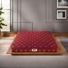 Usha Shriram Resteria Golden Fibre Tech. 8 inch Queen Mattress | 5 Years Warranty | Firm Mattress | Coir Foam

 Mattress (75X66X8 Inches, Queen Size Mattress, Marron)