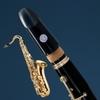 Techno Clarinet Reco Material: ABS