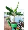 Bio Blooms Agro Polyethylene Leafy Vegetable Terrace Gardening Green Grow Bag Floor Standing Mount Type, 24 x 24 inch (pack of 4)
