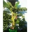 Bio Blooms Agro Polyethylene Leafy Vegetable Terrace Gardening Green Grow Bag Floor Standing Mount Type, 24 x 24 inch (pack of 4)