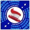 Closeup Everfresh+ Zinc Fresh+ Red Hot Toothpaste (2Nx150 g)
