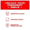 Closeup Everfresh+ Zinc Fresh+ Red Hot Toothpaste (2Nx150 g)