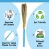 Home One Grass Broom