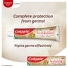 Colgate Vedshakti Anticavity Toothpaste (200 g + 100 g)