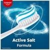 Colgate Active Salt Toothpaste (2N x 200 g + 100 g)