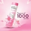 Pond's Dreamflow Talcum Powder 80 g