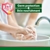 Dettol Skincare Liquid Handwash Refill 175ml (Pack of 3)