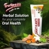 Patanjali Dant Kanti Natural Toothpaste 100 g