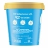 Kwality Wall's Vanilla Ice Cream Tub 700 ml